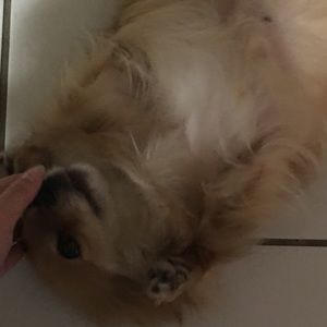 Meet your Posher, Kimi